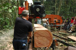 Sawmill Project